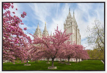 Load image into Gallery viewer, Salt Lake Spring Blossoms