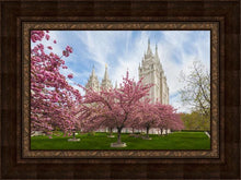 Load image into Gallery viewer, Salt Lake Spring Blossoms