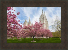 Load image into Gallery viewer, Salt Lake Spring Blossoms