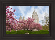 Load image into Gallery viewer, Salt Lake Spring Blossoms