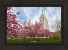Load image into Gallery viewer, Salt Lake Spring Blossoms
