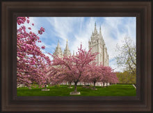 Load image into Gallery viewer, Salt Lake Spring Blossoms