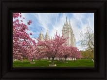 Load image into Gallery viewer, Salt Lake Spring Blossoms