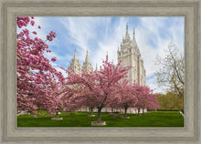 Load image into Gallery viewer, Salt Lake Spring Blossoms