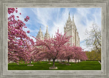 Load image into Gallery viewer, Salt Lake Spring Blossoms