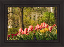 Load image into Gallery viewer, Salt Lake In The Garden