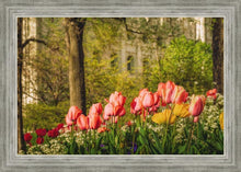Load image into Gallery viewer, Salt Lake In The Garden