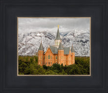 Load image into Gallery viewer, Provo Lifting Storm