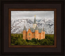 Load image into Gallery viewer, Provo Lifting Storm