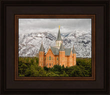 Load image into Gallery viewer, Provo Lifting Storm