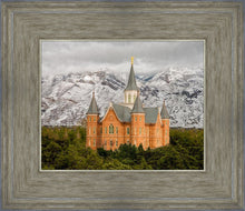Load image into Gallery viewer, Provo Lifting Storm