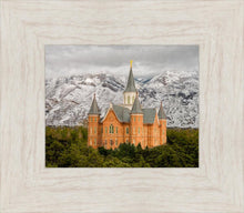 Load image into Gallery viewer, Provo Lifting Storm