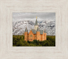 Load image into Gallery viewer, Provo Lifting Storm