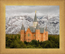Load image into Gallery viewer, Provo Lifting Storm