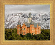 Load image into Gallery viewer, Provo Lifting Storm