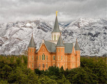 Load image into Gallery viewer, Provo Lifting Storm