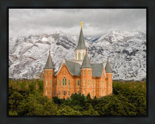 Load image into Gallery viewer, Provo Lifting Storm