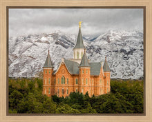 Load image into Gallery viewer, Provo Lifting Storm