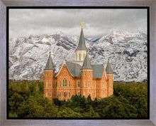 Load image into Gallery viewer, Provo Lifting Storm