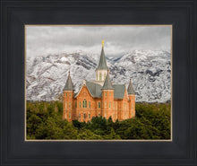 Load image into Gallery viewer, Provo Lifting Storm