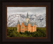 Load image into Gallery viewer, Provo Lifting Storm