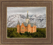 Load image into Gallery viewer, Provo Lifting Storm