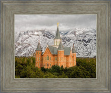 Load image into Gallery viewer, Provo Lifting Storm