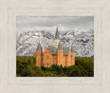 Load image into Gallery viewer, Provo Lifting Storm