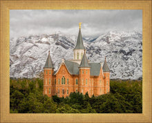 Load image into Gallery viewer, Provo Lifting Storm