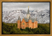 Load image into Gallery viewer, Provo Lifting Storm