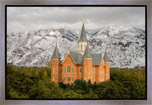 Load image into Gallery viewer, Provo Lifting Storm