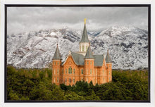 Load image into Gallery viewer, Provo Lifting Storm