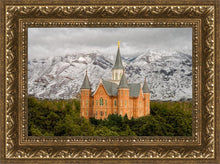 Load image into Gallery viewer, Provo Lifting Storm