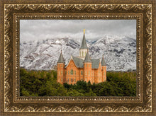Load image into Gallery viewer, Provo Lifting Storm