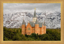 Load image into Gallery viewer, Provo Lifting Storm