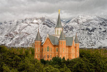 Load image into Gallery viewer, Provo Lifting Storm