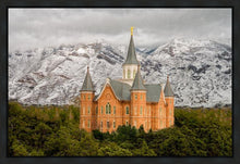 Load image into Gallery viewer, Provo Lifting Storm