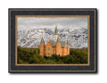 Load image into Gallery viewer, Provo Lifting Storm