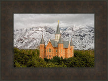 Load image into Gallery viewer, Provo Lifting Storm