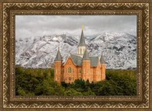 Load image into Gallery viewer, Provo Lifting Storm
