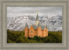 Load image into Gallery viewer, Provo Lifting Storm