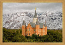 Load image into Gallery viewer, Provo Lifting Storm