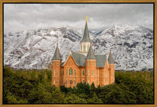 Load image into Gallery viewer, Provo Lifting Storm