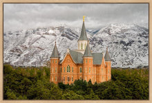 Load image into Gallery viewer, Provo Lifting Storm