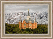 Load image into Gallery viewer, Provo Lifting Storm