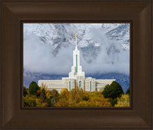 Load image into Gallery viewer, Mt. Timpanogos Hillside