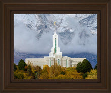 Load image into Gallery viewer, Mt. Timpanogos Hillside