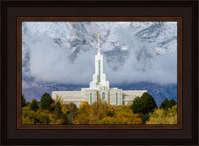 Load image into Gallery viewer, Mt. Timpanogos Hillside