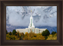 Load image into Gallery viewer, Mt. Timpanogos Hillside