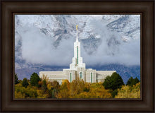Load image into Gallery viewer, Mt. Timpanogos Hillside
